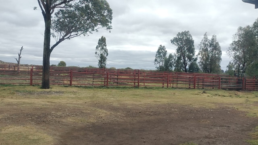 4 Bedroom Property for Sale in Dewetsdorp Rural Free State